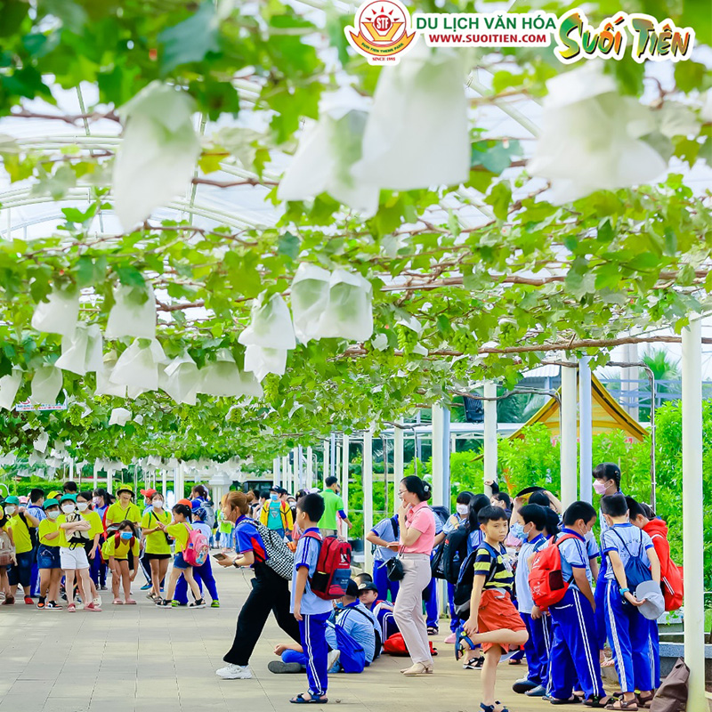 Thư viện