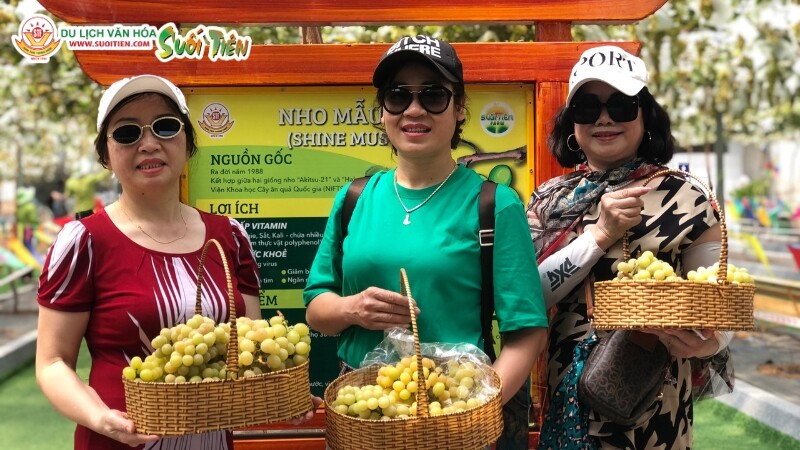 Tổ chức team building gần gũi với thiên nhiên chỉ có tại Suối Tiên Farm TPHCM Tổ chức team building gần gũi với thiên nhiên chỉ có tại Suối Tiên Farm TPHCM