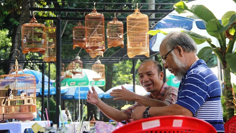 Thưởng thức c&agrave; ph&ecirc; chim độc đ&aacute;o tại C&ocirc;ng vi&ecirc;n Tao Đ&agrave;n (Nguồn: Sưu Tầm)