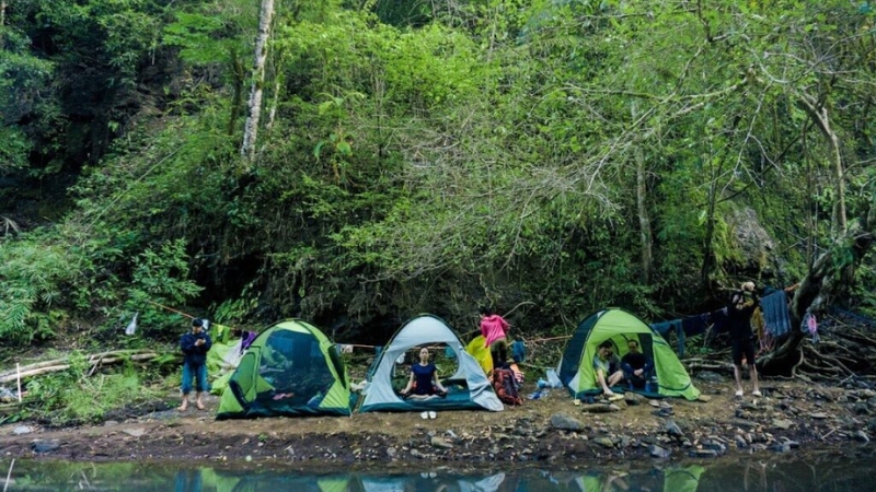 Vườn quốc gia Bù Gia Mập với hệ sinh thái rừng nguyên sinh đa dạng (Nguồn: Sưu tầm) Vườn quốc gia Bù Gia Mập với hệ sinh thái rừng nguyên sinh đa dạng (Nguồn: Sưu tầm)