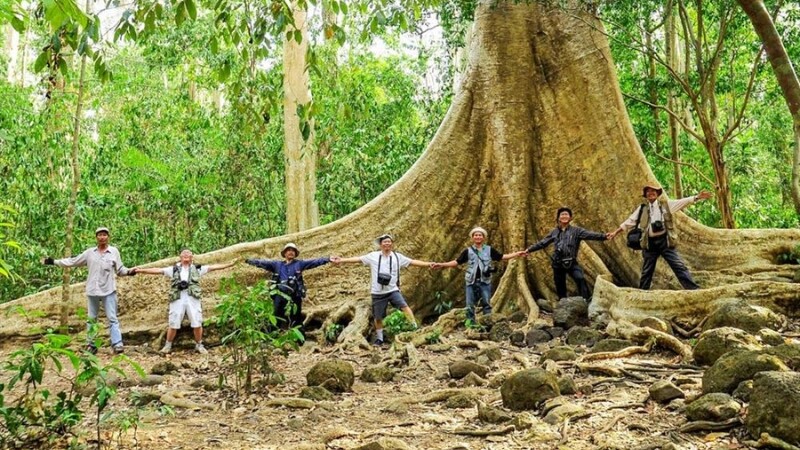 Vườn quốc gia Nam Cát Tiên với rừng nguyên sinh và cung đường trekking hấp dẫn (Nguồn: Sưu tầm) Vườn quốc gia Nam Cát Tiên với rừng nguyên sinh và cung đường trekking hấp dẫn (Nguồn: Sưu tầm)