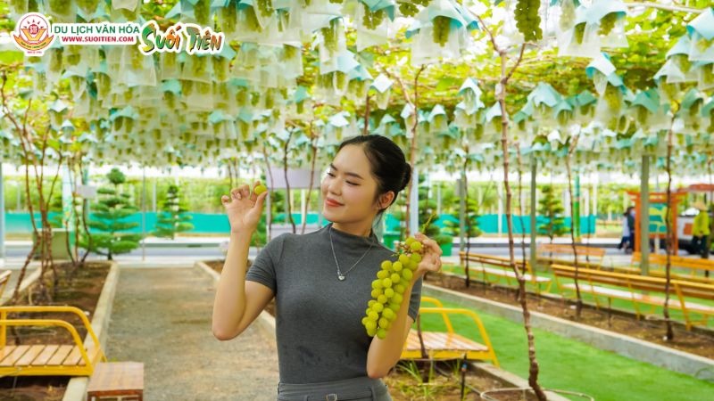 Không gian xanh Suối Tiên Farm trong tour du lịch văn hóa