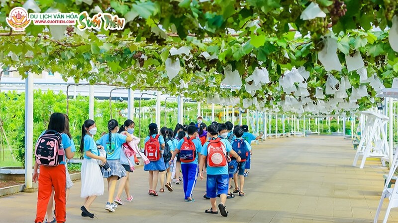 Suối Tiên Farm rộng 5 hecta nổi bật với vườn nho và nhiều loại trái cây