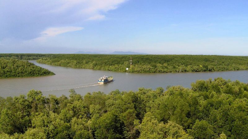 Rừng ngập mặn Cần Giờ thuộc khu du lịch nổi tiếng