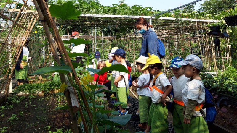 Khu sinh thái Family Garden phù hợp cho các hoạt động ngoài trời cho trẻ em (Nguồn: Sưu Tầm) Khu sinh thái Family Garden phù hợp cho các hoạt động ngoài trời cho trẻ em (Nguồn: Sưu Tầm)