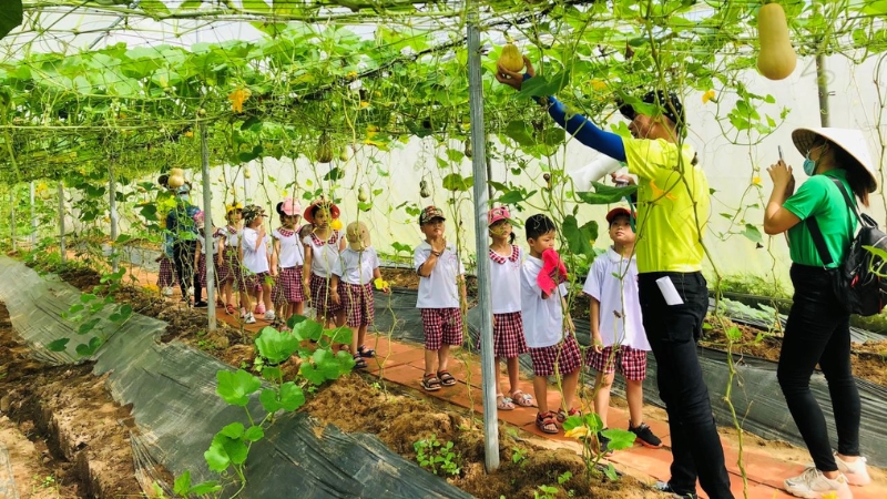 Nông Trại Xanh giúp trẻ vừa vui chơi ngoài trời vừa học hỏi thêm kiến thức về môi trường (Nguồn: Sưu Tầm) Nông Trại Xanh giúp trẻ vừa vui chơi ngoài trời vừa học hỏi thêm kiến thức về môi trường (Nguồn: Sưu Tầm)