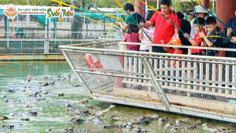 Du khách có thể trải nghiệm hoạt động câu cá sấu tại Vương Quốc Cá Sấu của Suối Tiên