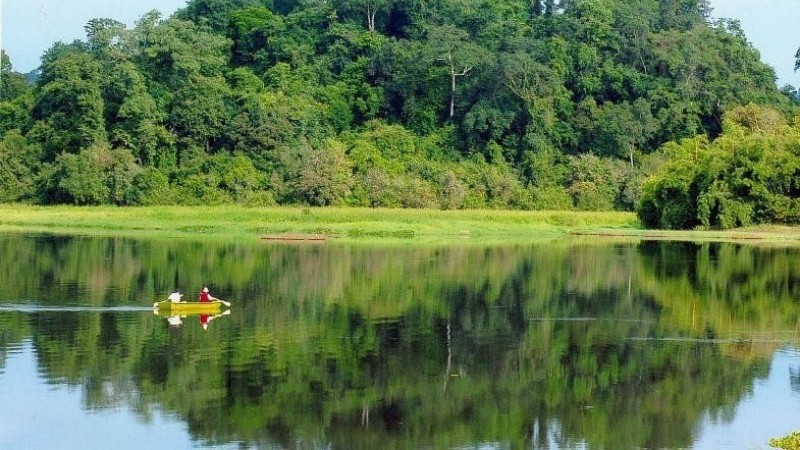 Vườn quốc gia Nam Cát Tiên thích hợp là địa điểm đi chơi 2 ngày 1 đêm gần Sài Gòn (Nguồn: Sưu Tầm)