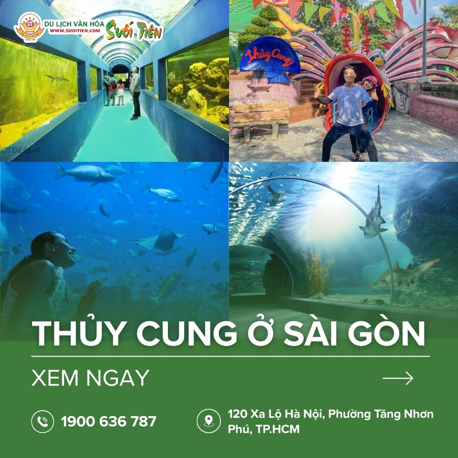Top 4 thủy cung ở Sài Gòn lý tưởng để vui chơi và khám phá