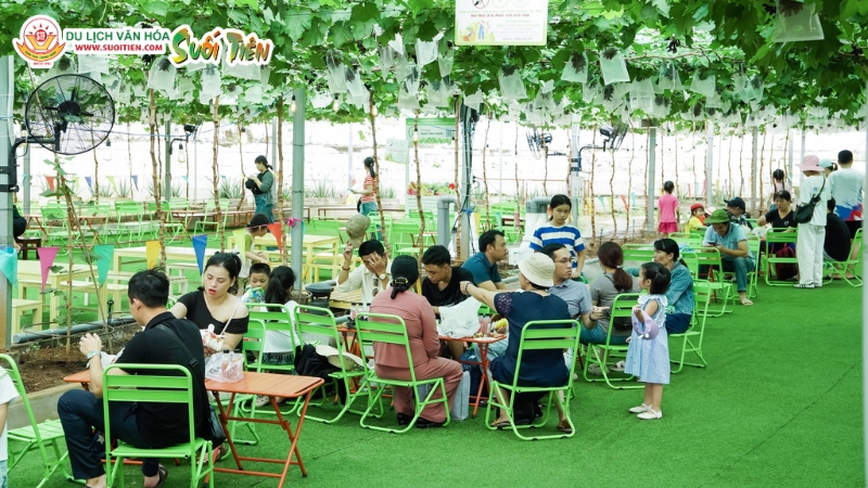 Trải nghiệm team building 1 ngày thú vị tại Suối Tiên Farm Trải nghiệm team building 1 ngày thú vị tại Suối Tiên Farm