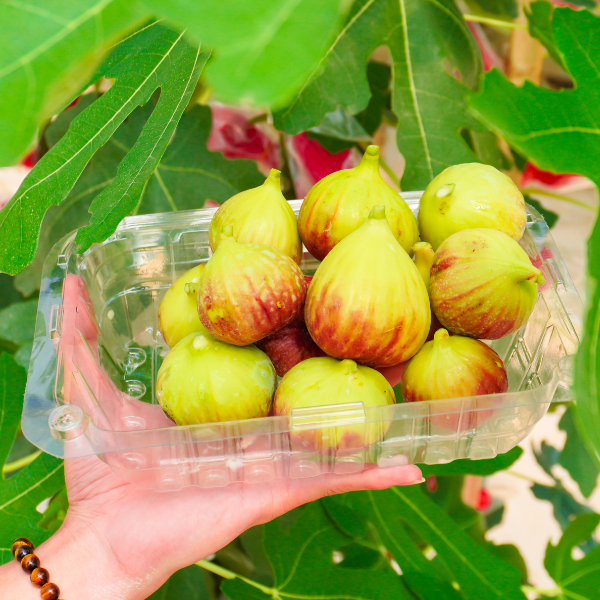 Sung Mỹ tại Suối Tiên Farm có gì đặc biệt?